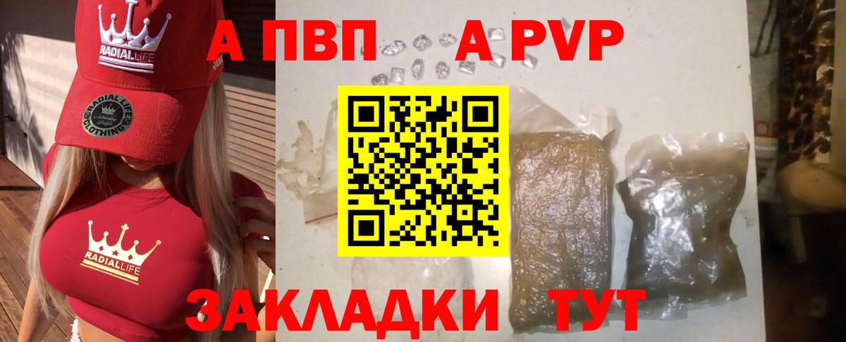 Альфа ПВП СК КРИС Кизляр