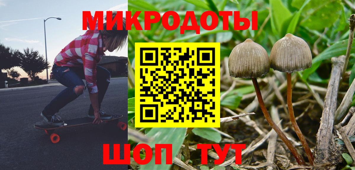 Кизляр  Псилоцибиновые грибы GOLDEN TEACHER  Галлюциногенные грибы мицелий  Вход с VPN 